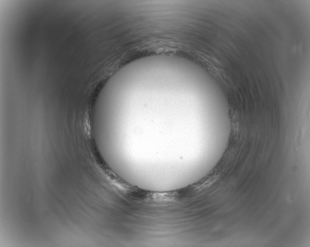 X0000076340622200609290920