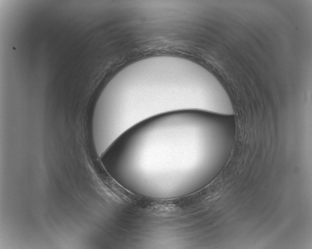 X0000076340642200609290920
