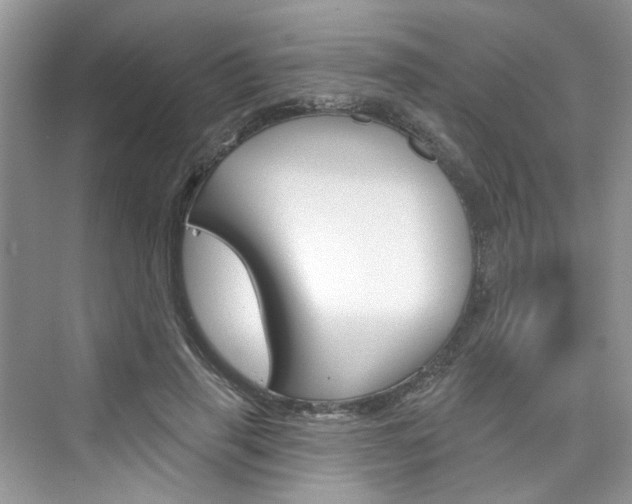 X0000076340645200609290920