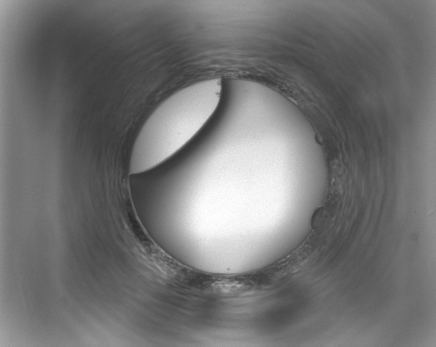 X0000076340650200609290920