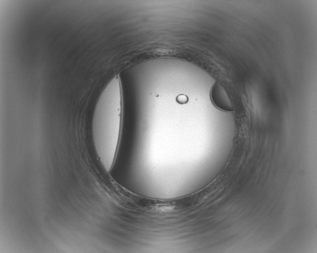 X0000076340651200609290920