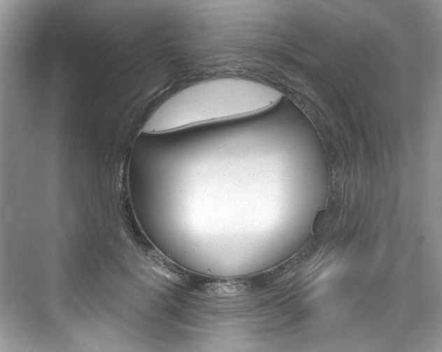 X0000076340652200609290920