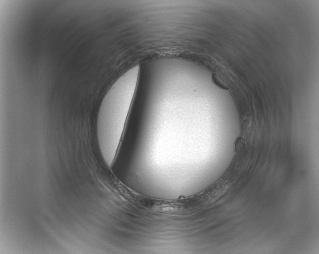 X0000076340655200609290920