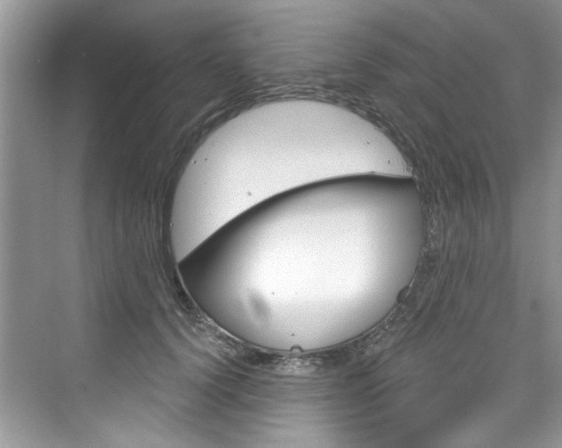 X0000076340656200609290920