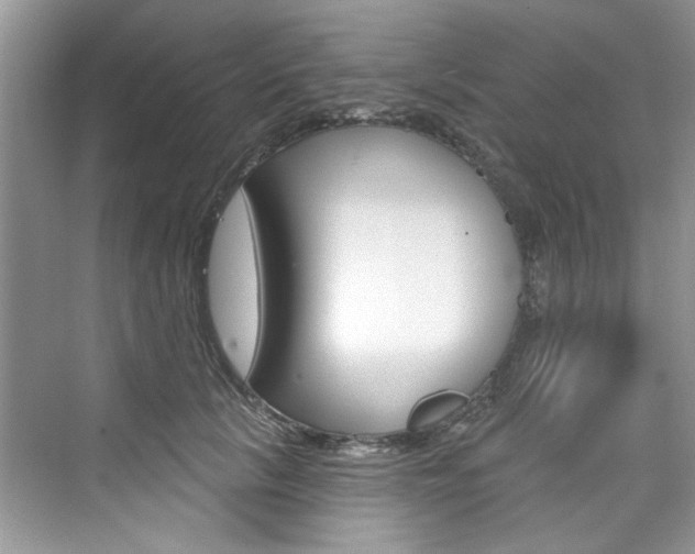 X0000076340657200609290920