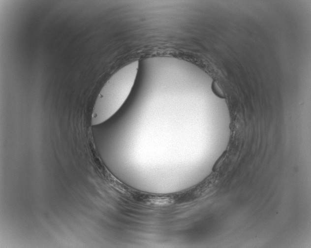 X0000076340659200609290920