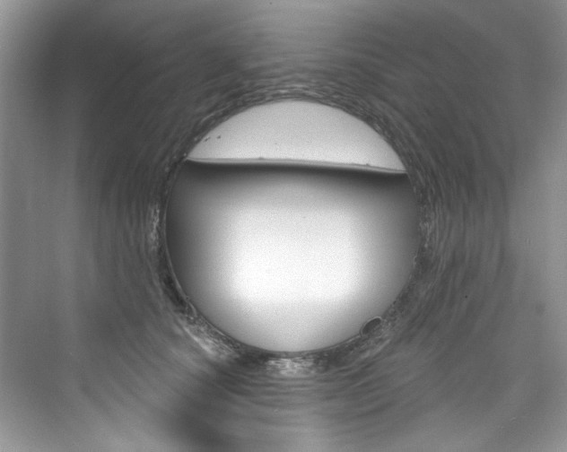 X0000076340660200609290920