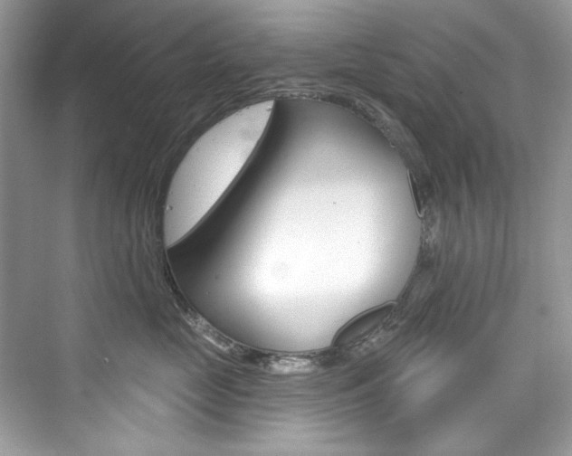 X0000076340669200609290920