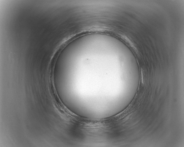 X0000076340675200609290919