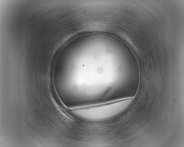 X0000076340677200609290919