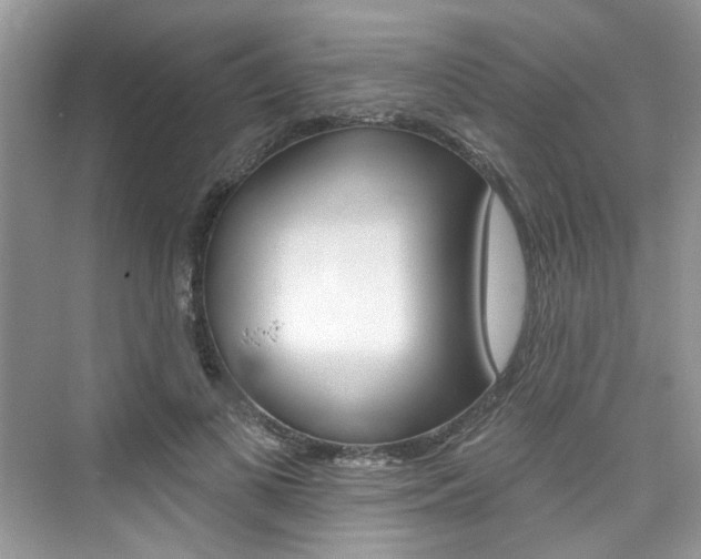 X0000076340693200609290919