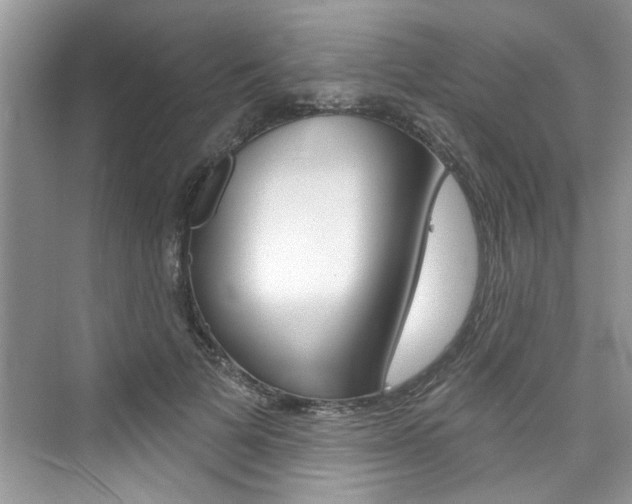 X0000076340697200609290919