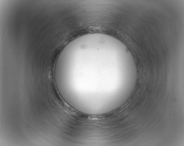 X0000076340706200609290919