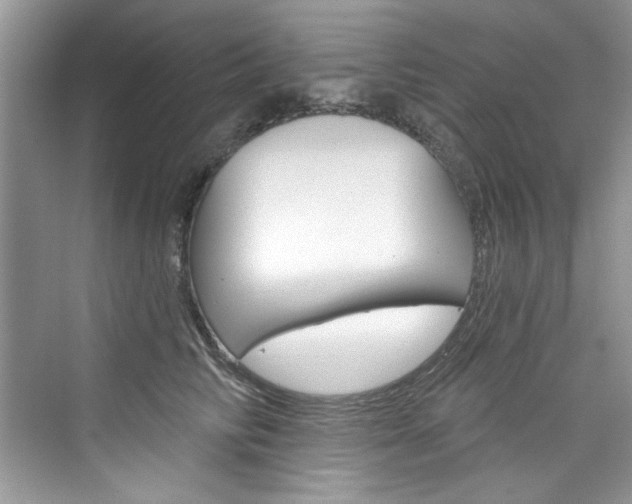 X0000076340710200609290919