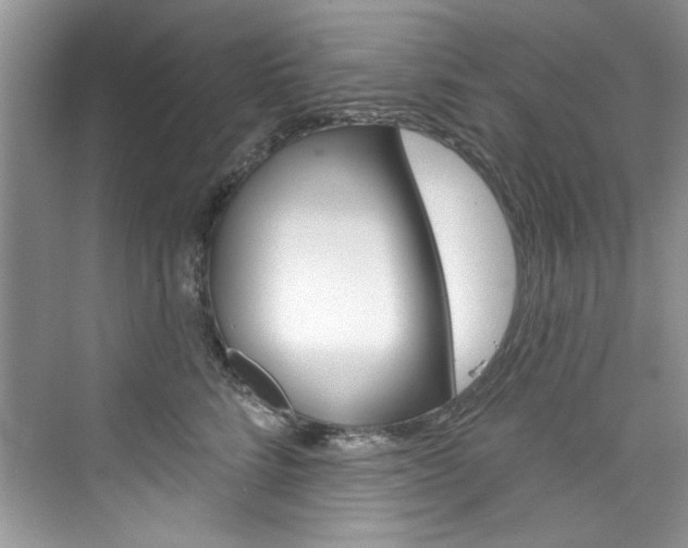 X0000076340712200609290919