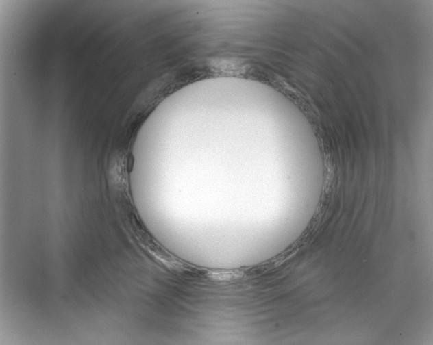 X0000076340713200609290919