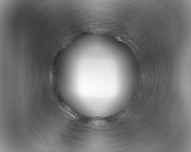 X0000076340716200609290919