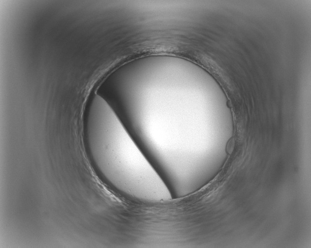 X0000076340721200609290918