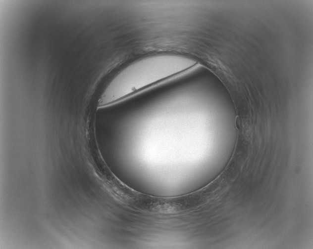 X0000076340735200609290918