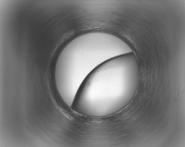 X0000076340738200609290918