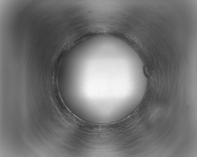 X0000076340739200609290918