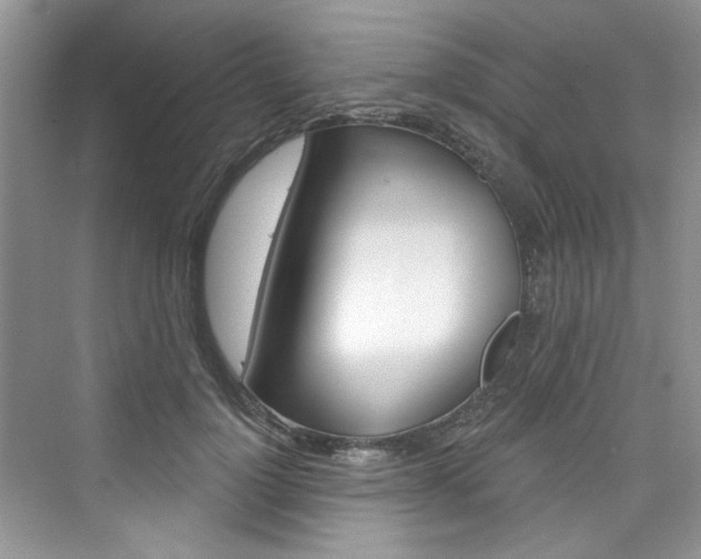 X0000076340748200609290918