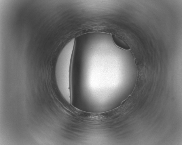 X0000076340752200609290918