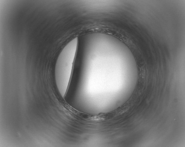 X0000076340754200609290918