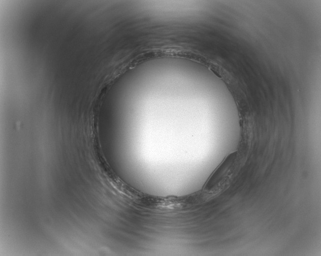 X0000076340760200609290918