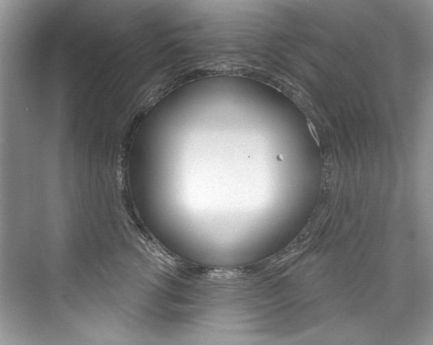 X0000076340762200609290918