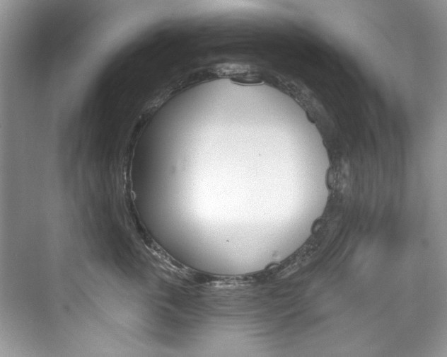 X0000076340763200609290918