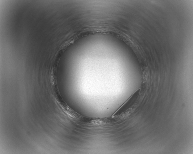 X0000076340764200609290918