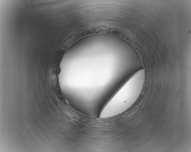 X0000076340771200609290918