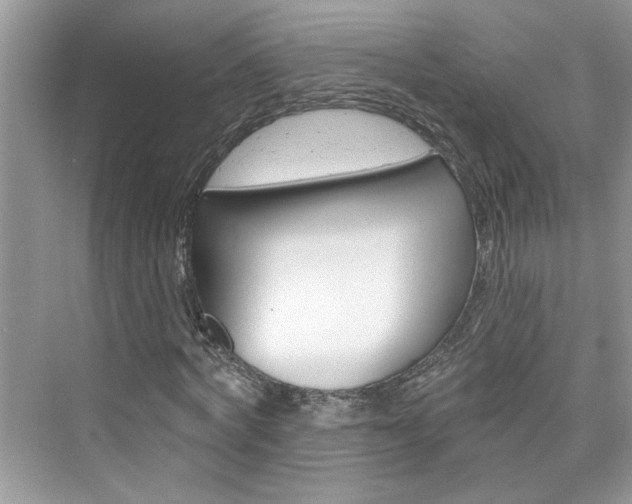 X0000076340772200609290918