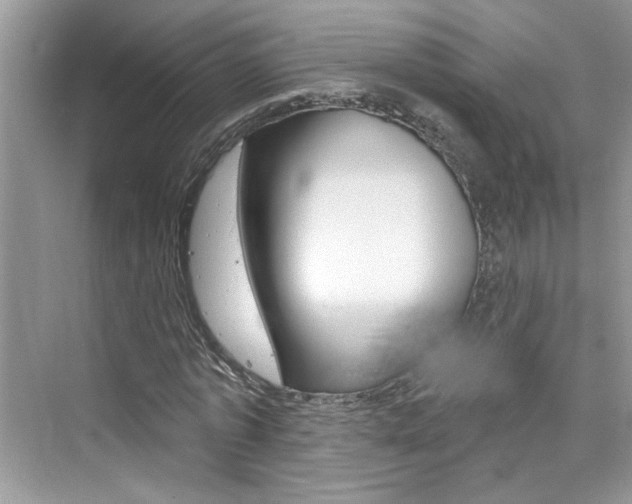X0000076340773200609290918