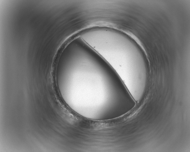 X0000076340783200609290917