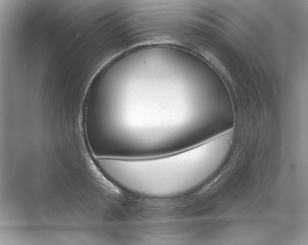 X0000076340797200609290917