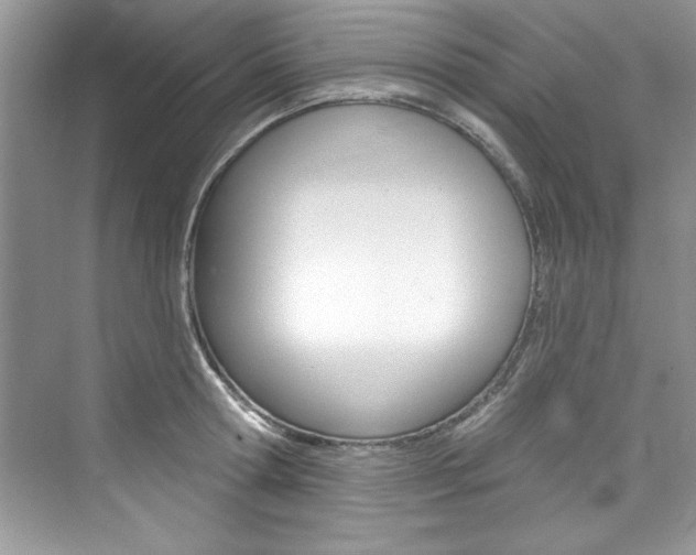 X0000076340802200609290917