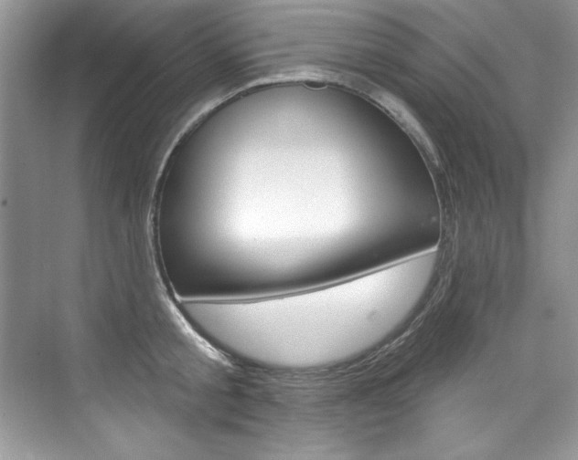 X0000076340805200609290917