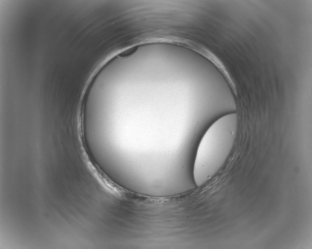 X0000076340811200609290917