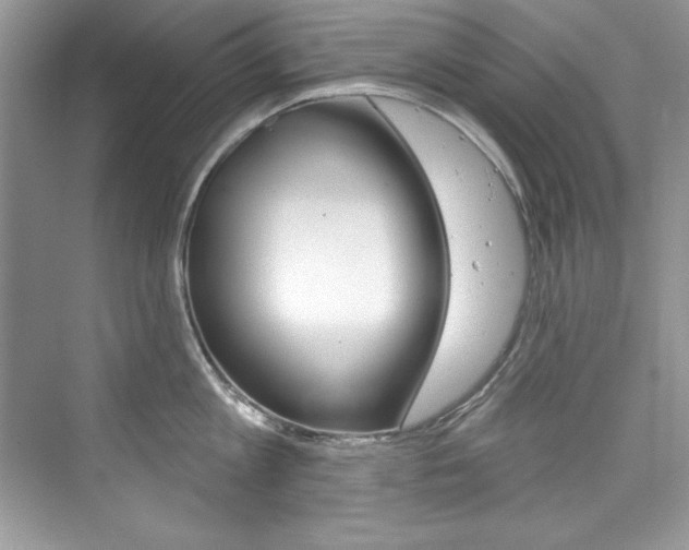 X0000076340813200609290917