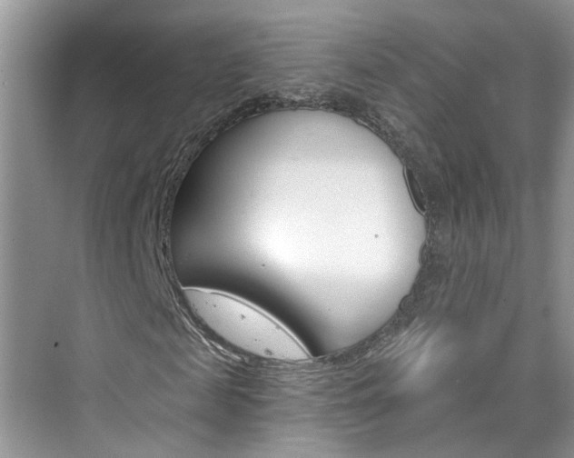 X0000076340817200609290916