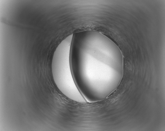 X0000076340818200609290916