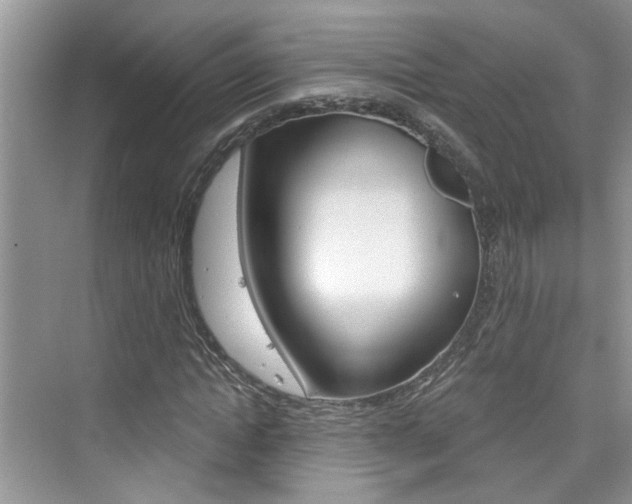 X0000076340822200609290916