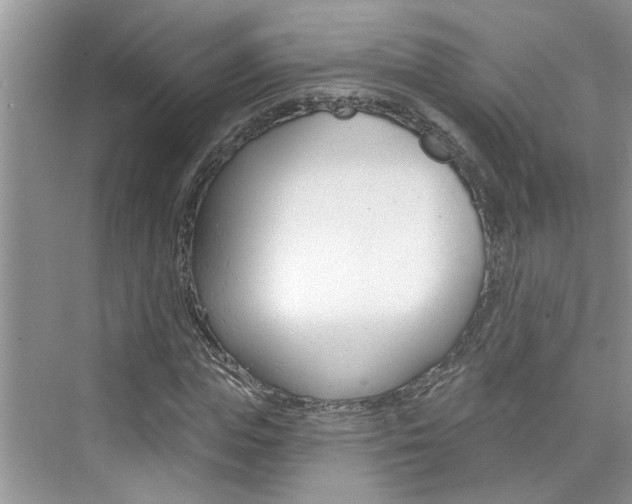 X0000076340823200609290916