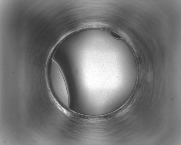 X0000076340843200609290917