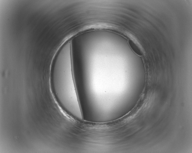 X0000076340845200609290917
