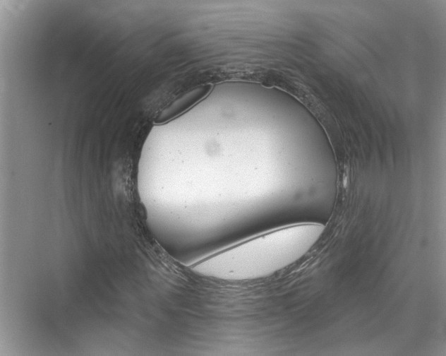 X0000076340867200609290916