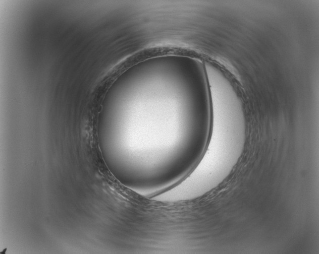X0000076340872200609290916