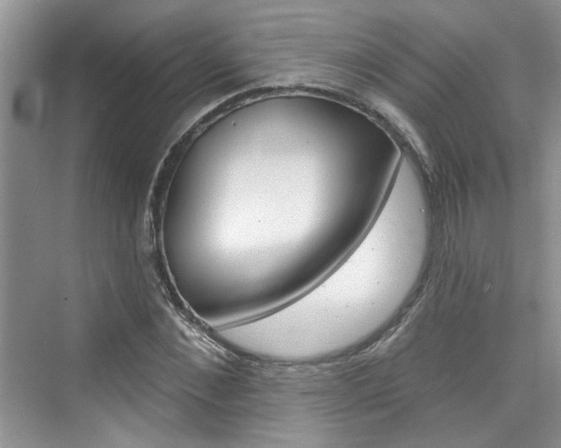 X0000076340876200609290916